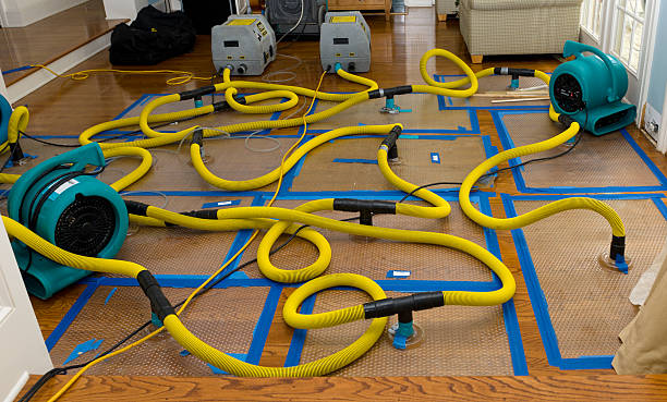 Professional Basement Flood Cleanup technician working in Washingtonville, NY